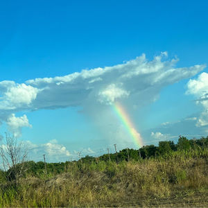 Meet your Posher, Maya